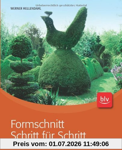 Werner Hellendahl Formschnitt Schritt Für Schritt