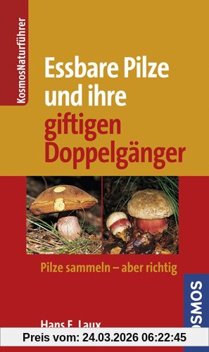 Essbare Pilze und ihre giftigen Doppelgänger: Pilze sammeln - aber richtig