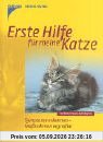 Erste Hilfe für meine Katze