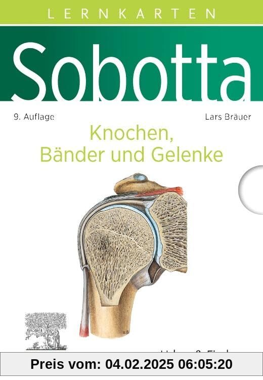 Sobotta Lernkarten Knochen, Bänder und Gelenke