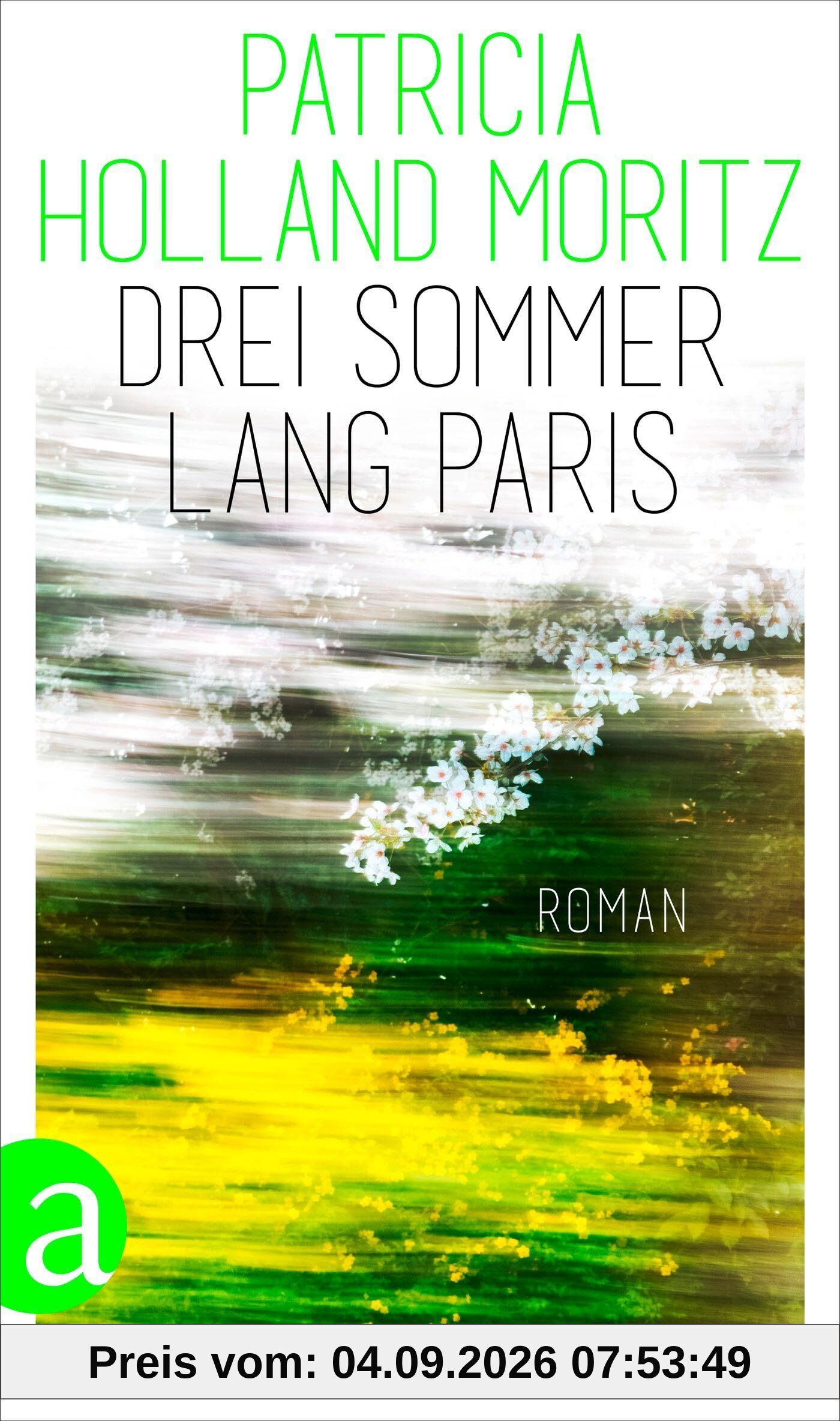 Drei Sommer lang Paris: Roman
