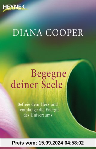 Begegne deiner Seele: Befreie dein Herz und empfange die Energie des Universums