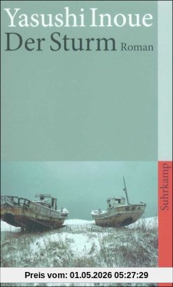 Der Sturm: Roman (suhrkamp taschenbuch)