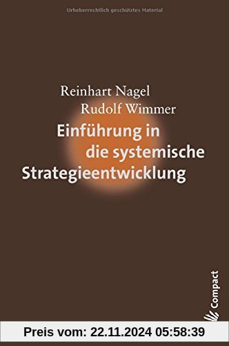 Einführung in die systemische Strategieentwicklung