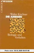 Die Ameisen: Biologie und Verhalten