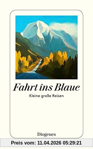 Fahrt ins Blaue: Kleine große Reisen (detebe)