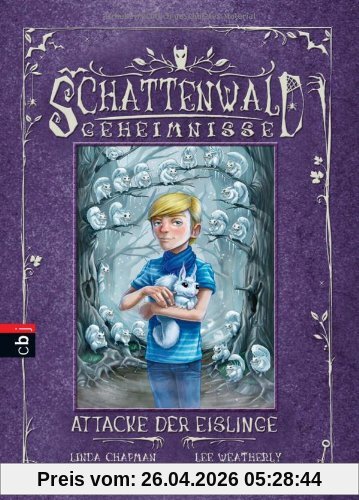 Schattenwald-Geheimnisse - Attacke der Eislinge: Band 5