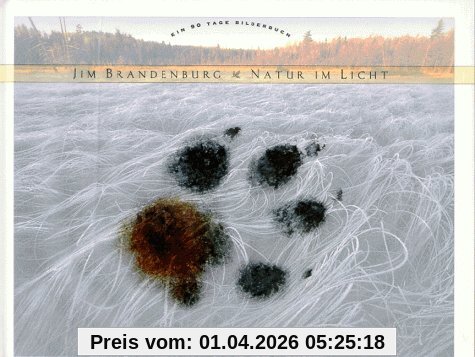 Natur im Licht: Ein 90 Tage Bilderbuch