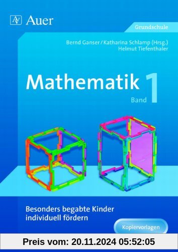 Besonders begabte Kinder individuell fördern. Mathematik 1