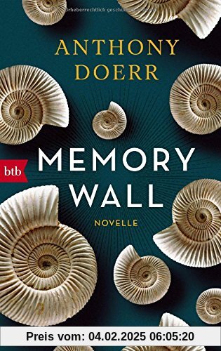 Memory Wall: Novelle