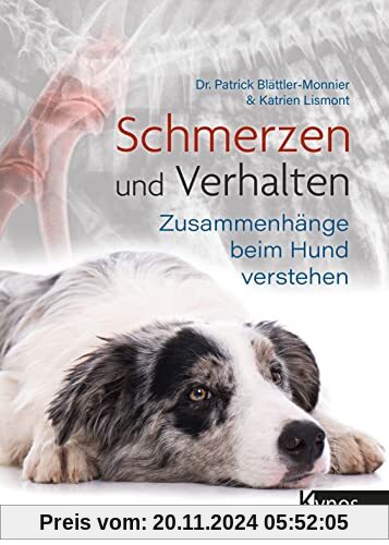 Schmerzen und Verhalten: Zusammenhänge beim Hund verstehen