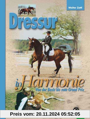 Dressur in Harmonie: Von der Basis bis zum Grand Prix