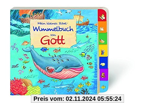 Mein kleines Bibel-Wimmelbuch von Gott