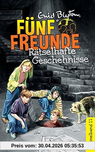 Fünf Freunde - Rätselhafte Geschehnisse - DB 11: Sammelband 11: Fünf Freunde machen eine Entdeckung/Fünf Freunde meistern jede Gefahr (Kurzgeschichten)