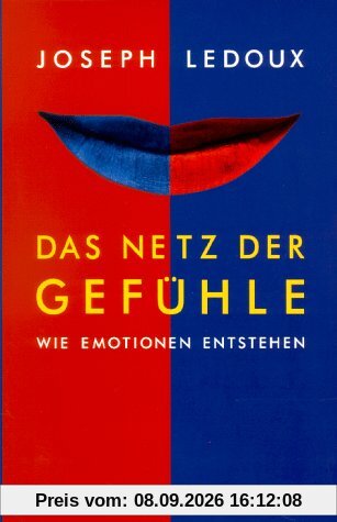 Das Netz der Gefühle: Wie Emotionen entstehen