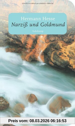 Hermann Hesse Narziß Und Goldmund, Erzählung (suhrkamp Taschenbuch)