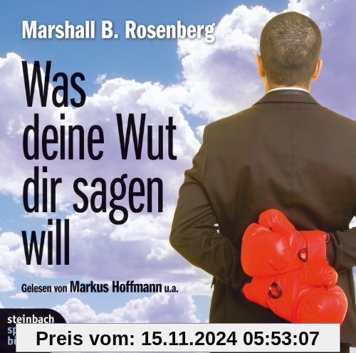 Was deine Wut dir sagen will: überraschende Einsichten. 2 CDs