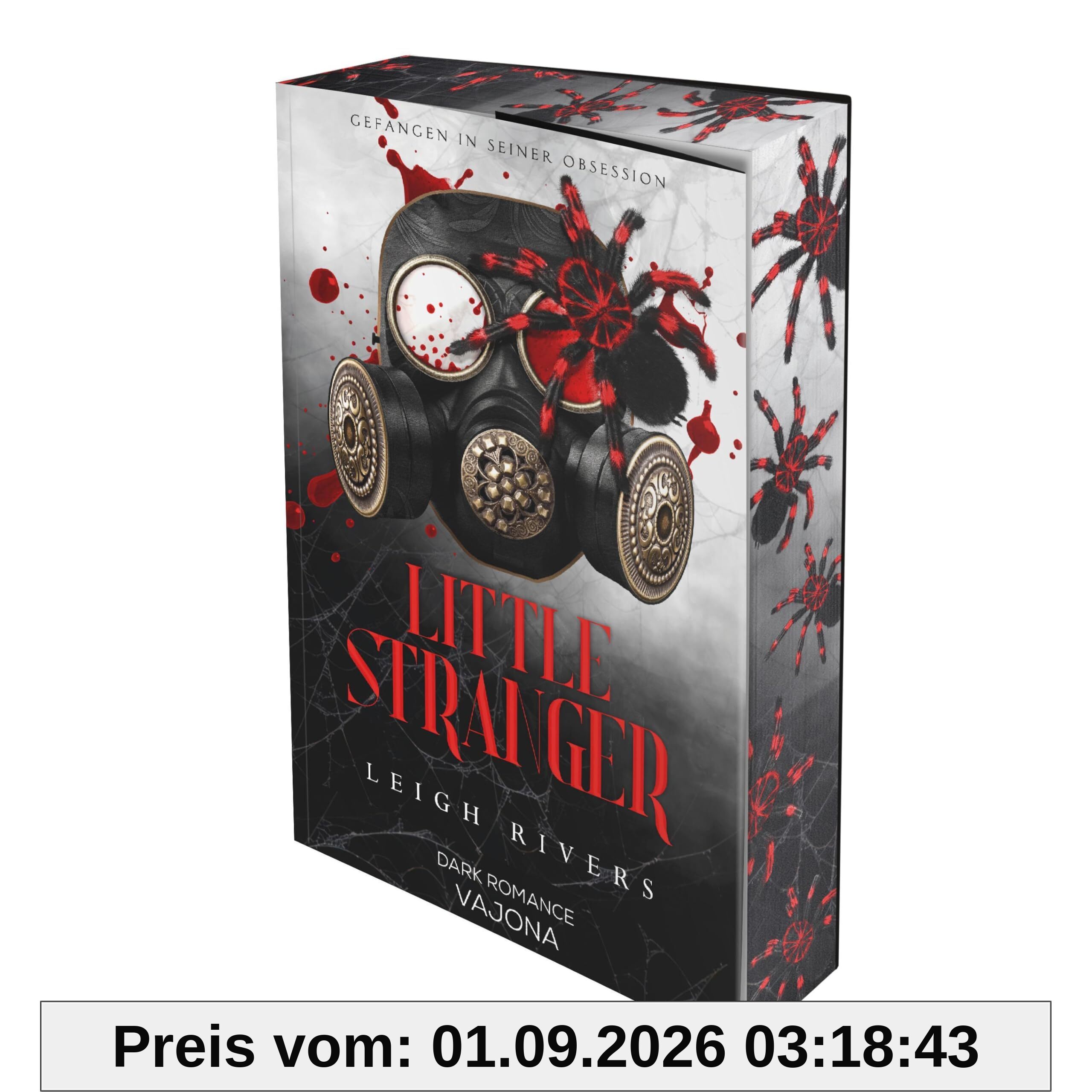 Little Stranger: DARK ROMANCE | Farbschnitt