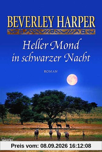 Heller Mond in schwarzer Nacht: Roman