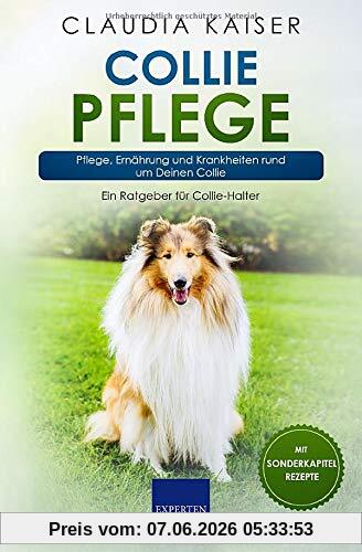 Collie Pflege: Pflege, Ernährung und Krankheiten rund um Deinen Collie