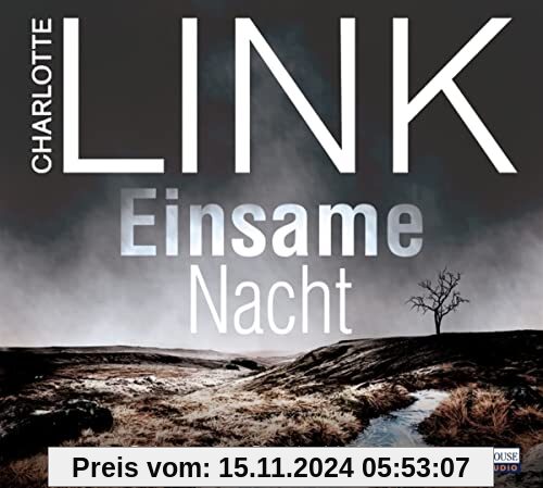 Einsame Nacht: . (Die Kate-Linville-Reihe, Band 4)