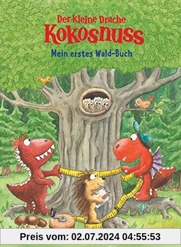 Der kleine Drache Kokosnuss - Mein erstes Wald-Buch: Mit zahlreichen Basteltipps und Spielvorschlägen (Mit Kokosnuss spi
