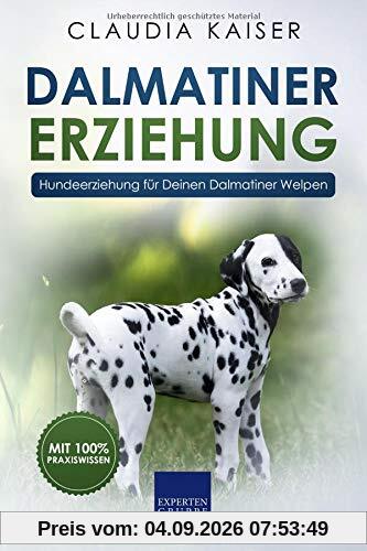 Dalmatiner Erziehung: Hundeerziehung für Deinen Dalmatiner Welpen