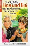 Tina und Tini, Bd.4, Tina und Tini und das Geheimnis des schwarzen Hundes