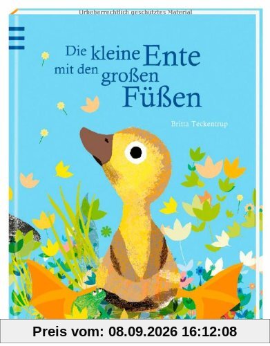 Die kleine Ente mit den großen Füßen