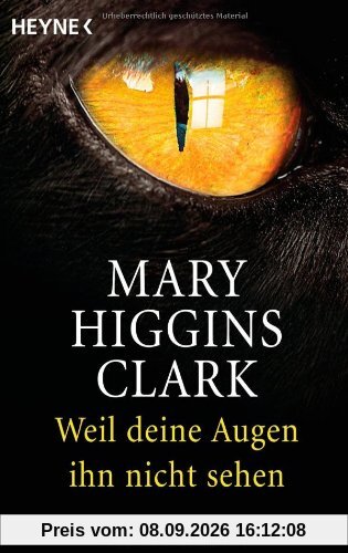 Weil deine Augen ihn nicht sehen. Roman