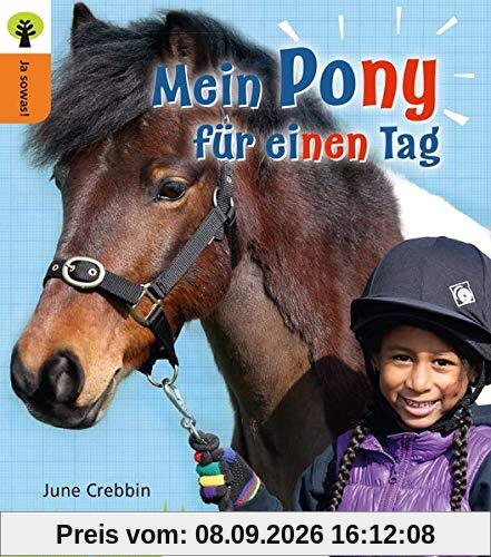 Ja sowas! Mein Pony für einen Tag