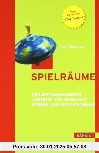 Spielräume. Projektmanagement jenseits von Burn-out, Stress und Effizienzwahn.