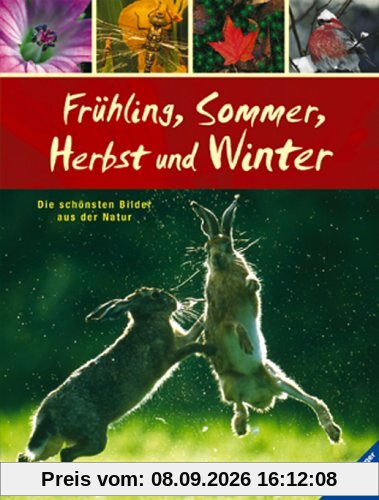 Frühling, Sommer, Herbst und Winter: Die schönsten Bilder aus der Natur