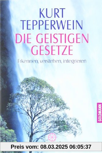 Die Geistigen Gesetze: Erkennen, verstehen, integrieren