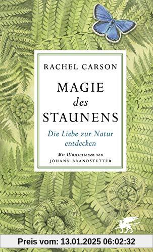 Magie des Staunens: Die Liebe zur Natur entdecken