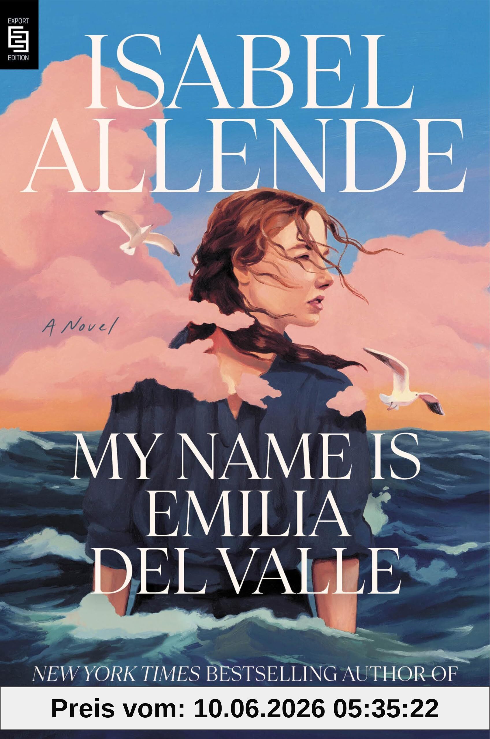 My Name Is Emilia del Valle: A Novel