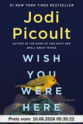 Wish You Were Here: A Novel