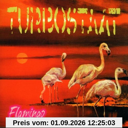 Flamingo