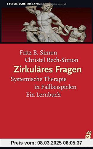 Zirkuläres Fragen: Systemische Therapie in Fallbeispielen: Ein Lernbuch