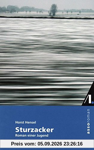 Sturzacker: Roman einer Jugend