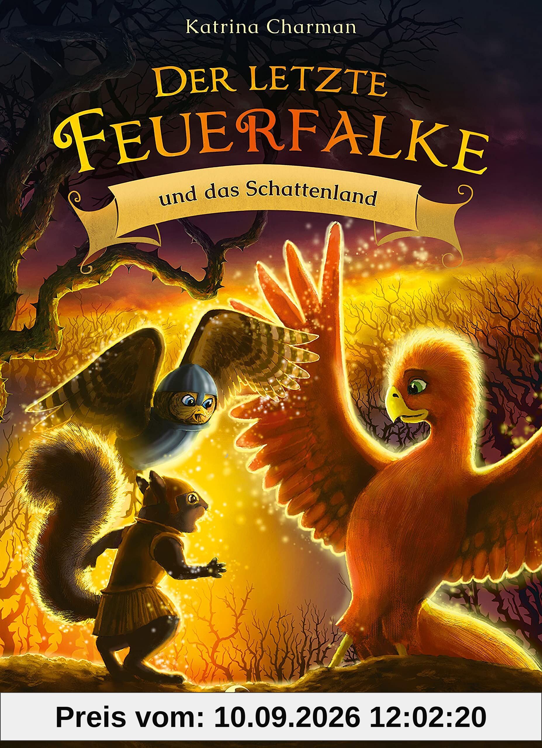 Der letzte Feuerfalke und das Schattenland (Band 5)