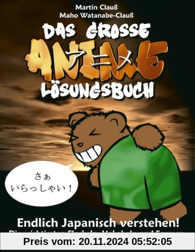 Das große Anime Lösungsbuch: Endlich Japanisch verstehen!