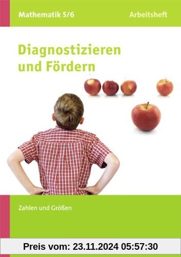 Diagnostizieren und Fördern - Arbeitshefte - Mathematik: 5./6. Schuljahr - Zahlen und Größen, Rechnen mit natürlichen Za