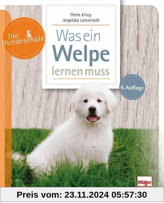 Was ein Welpe lernen muss (Die Hundeschule)