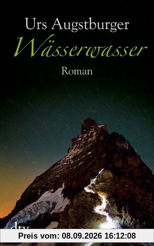 Wässerwasser: Roman