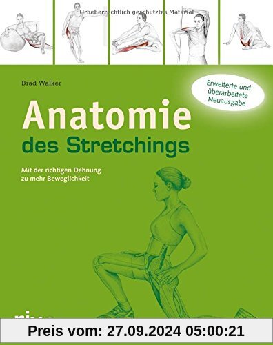 Anatomie des Stretchings: Mit der richtigen Dehnung zu mehr Beweglichkeit