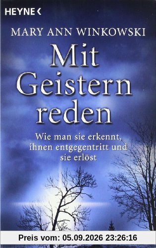 Mit Geistern reden: Wie man sie erkennt, ihnen entgegentritt und sie erlöst