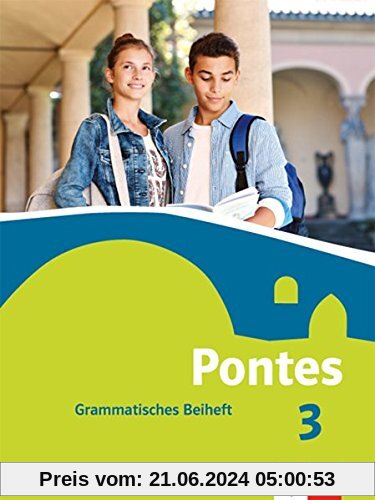 Pontes / Grammatisches Beiheft
