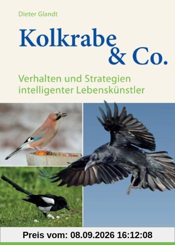 Kolkrabe & Co.: Verhalten und Strategien intelligenter Lebenskünstler