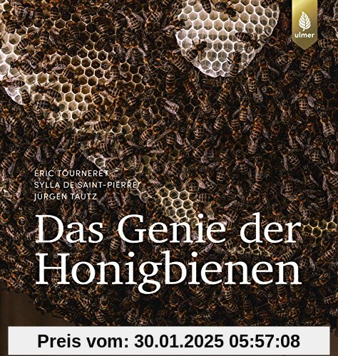 Das Genie der Honigbienen